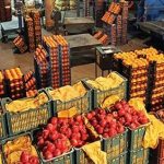 دلایل نوسان قیمت پیاز در بازار/ بازار میوه در آرامش به سر می‌برد