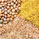 دبیر ستاد تنظیم بازار: قیمت مصوب مرغ با توجه به میزان تامین نهاده دولتی، عادلانه است