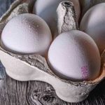 توقف صادرات تخم مرغ