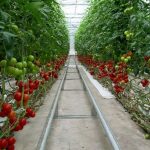 کمیته‌ای برای بررسی خسارت اصناف و تولیدکنندگان از قطعی‌های برق ایجاد شود