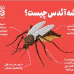 اطلاعیه اتاق اصناف ایران در خصوص هشدار شیوع تب دنگی